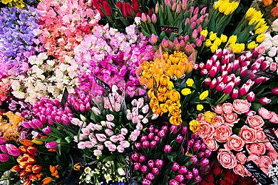 《星球大战：旧共和国武士重制版》开发生变？SIE删掉官宣推文