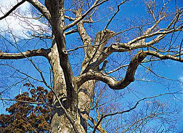 《真人快打1》故事模式时长类似《真人快打11》